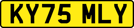 KY75MLY