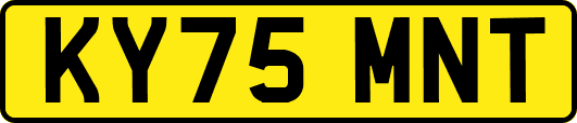 KY75MNT