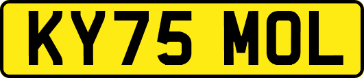 KY75MOL