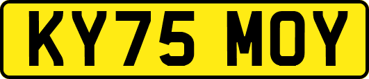 KY75MOY