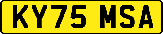 KY75MSA
