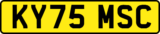 KY75MSC