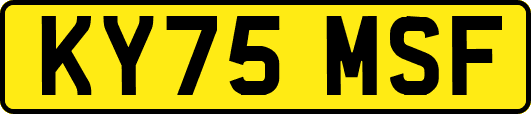 KY75MSF