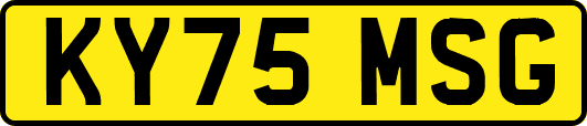KY75MSG