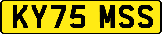 KY75MSS
