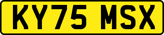 KY75MSX