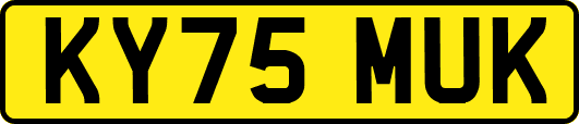 KY75MUK