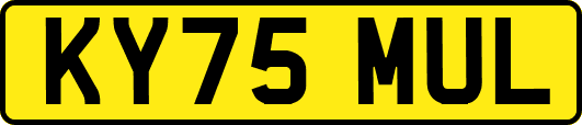 KY75MUL