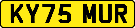 KY75MUR