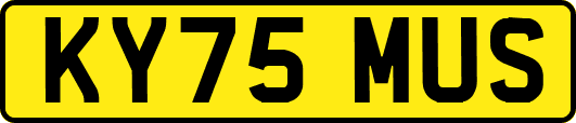 KY75MUS