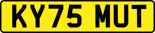 KY75MUT