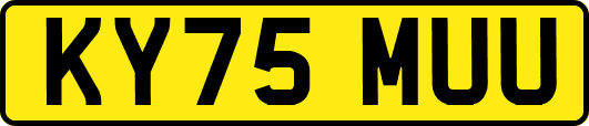 KY75MUU