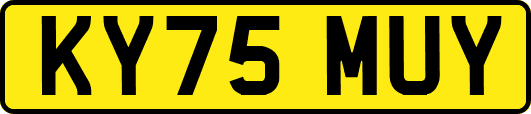 KY75MUY