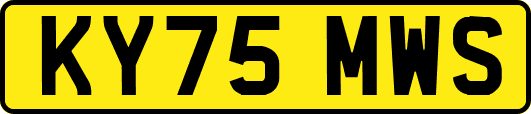 KY75MWS
