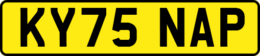 KY75NAP