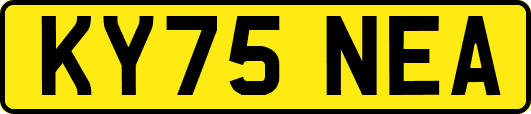 KY75NEA