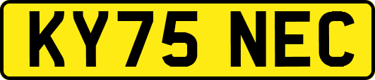 KY75NEC