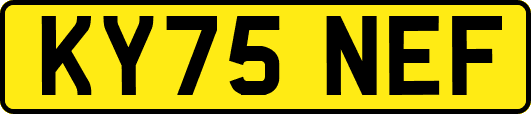 KY75NEF