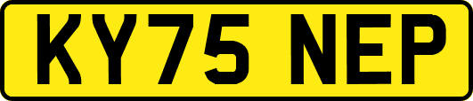 KY75NEP