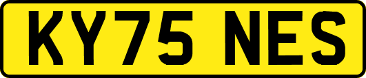 KY75NES