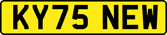 KY75NEW