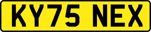 KY75NEX