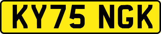 KY75NGK