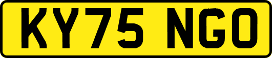 KY75NGO