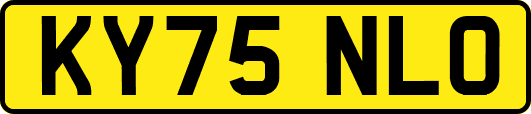 KY75NLO