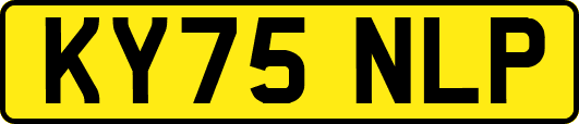 KY75NLP