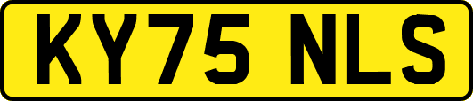 KY75NLS