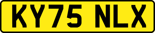 KY75NLX