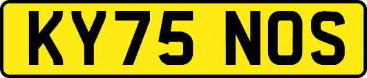 KY75NOS