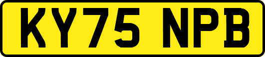 KY75NPB