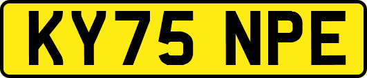 KY75NPE