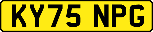 KY75NPG