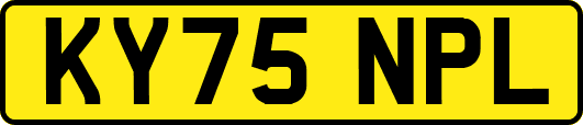 KY75NPL