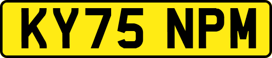 KY75NPM