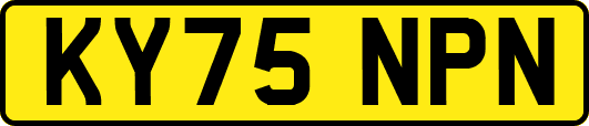 KY75NPN