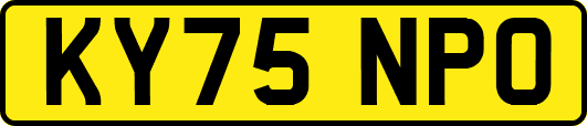 KY75NPO