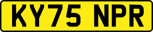 KY75NPR