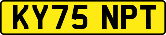 KY75NPT