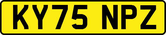 KY75NPZ