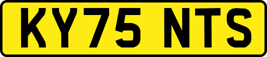 KY75NTS