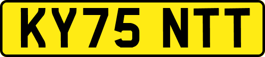 KY75NTT