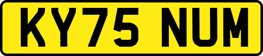 KY75NUM