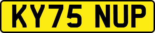KY75NUP