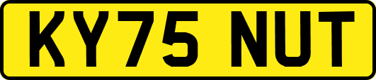 KY75NUT