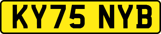 KY75NYB