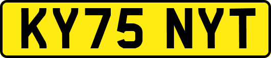 KY75NYT